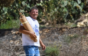 B'sogħba kbira nħabbru t-telfa ta' ħuna Ramond Muscat