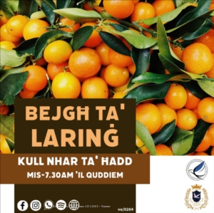 Larinġ ta' Malta