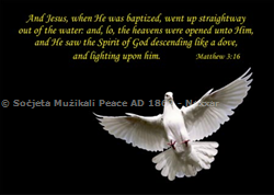 B'Sogħba kbira nħabbru l-mewt ta' Carmel Cortis