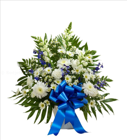 B'niket u dieqa kbira llum tħabbret il-mewt tas-sinjura Tanya Agius.